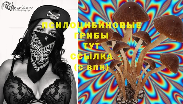 PSILOCYBIN Балабаново